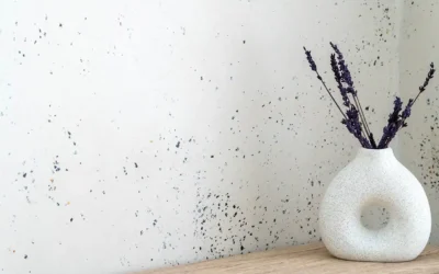 Cómo aplicar revestimiento continuo con micas: guía técnica para aplicadores