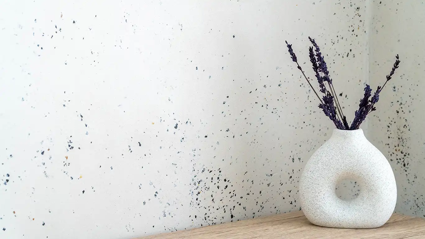 Cómo aplicar revestimiento continuo con micas: guía técnica para aplicadores