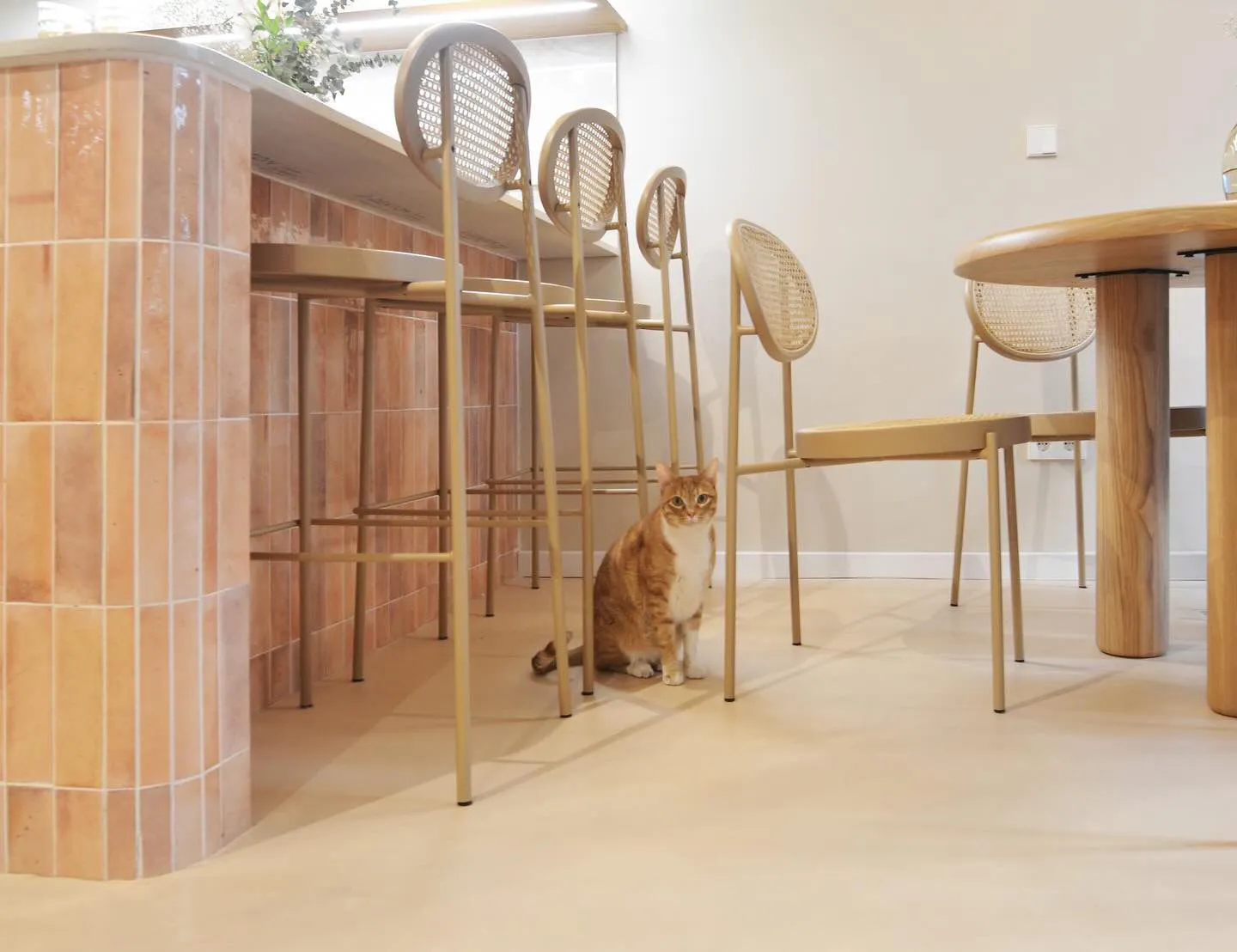 MicroQuarz-suelo-proyecto3